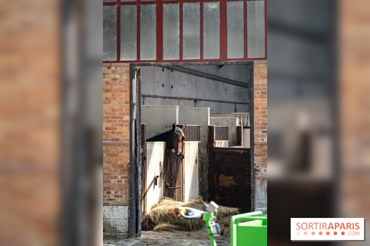 Visite guidée de l'École Mlitaire d'Équitation