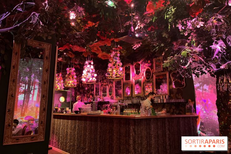 Wonderwoods - IMG 3728