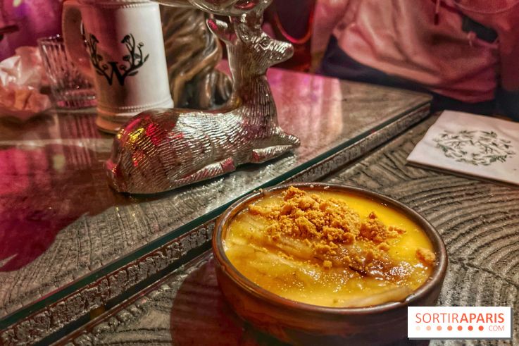 Wonderwoods - IMG 3736