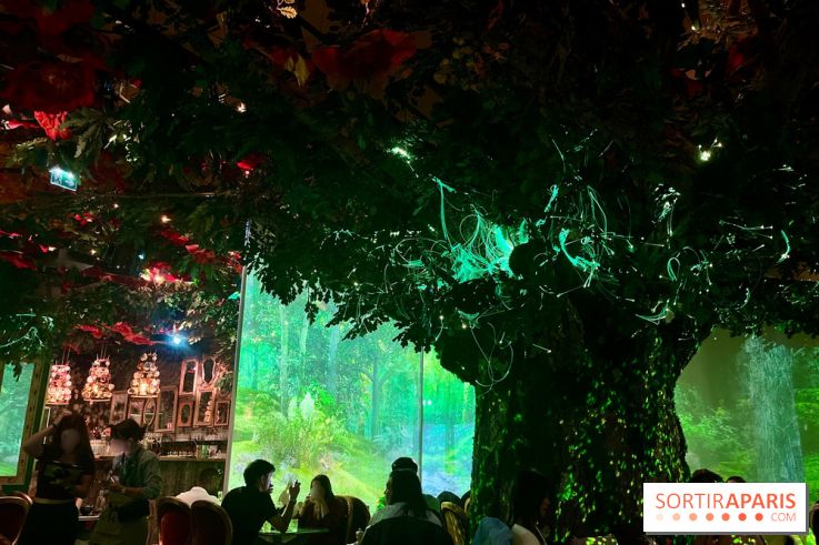 Wonderwoods