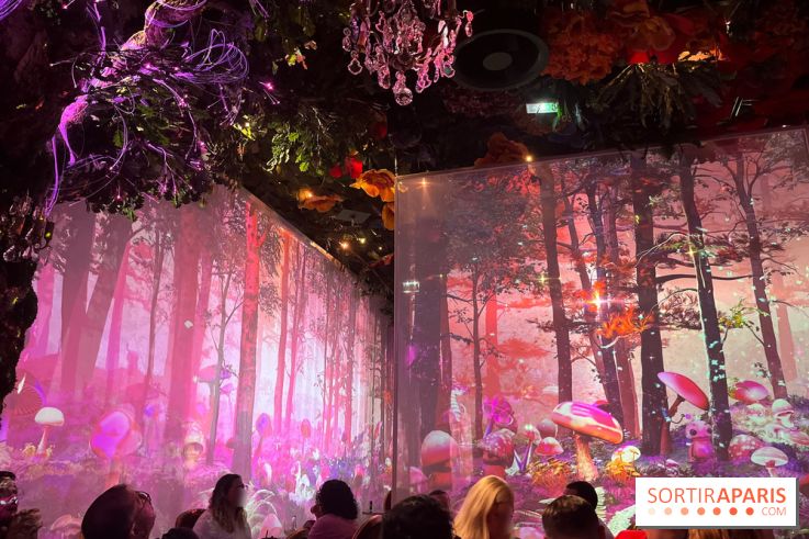 Wonderwoods