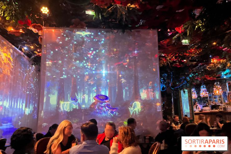 Wonderwoods - IMG 3813