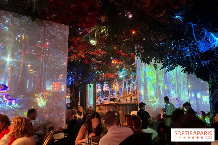 Wonderwoods - IMG 3814