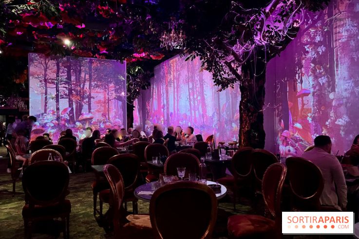 Wonderwoods