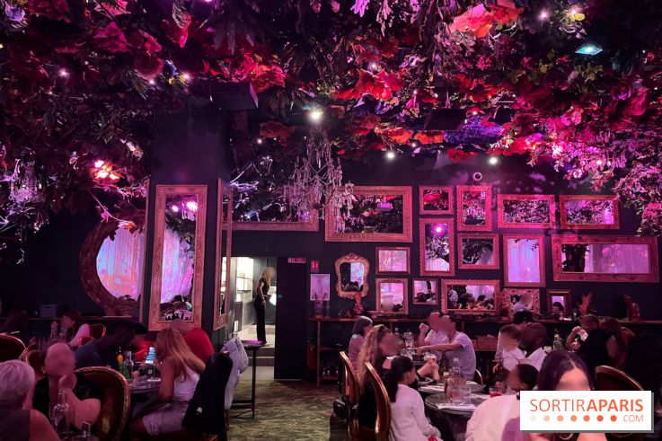 Wonderwoods - IMG 3816