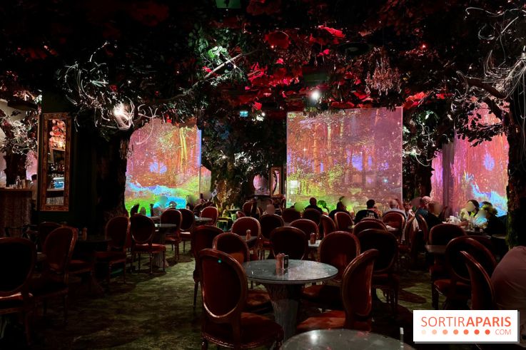 Wonderwoods