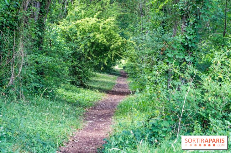 Le port de Valvins-les-Bains, les photos
