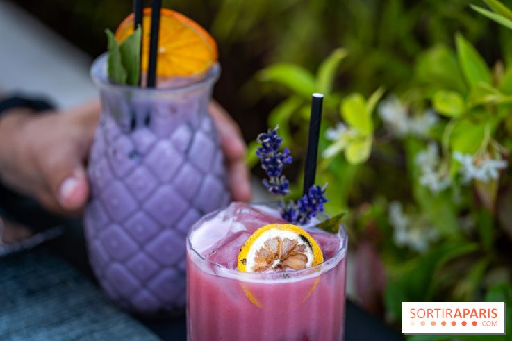 Le Domaine des Vanneaux MGallery - les photos - A7C04492