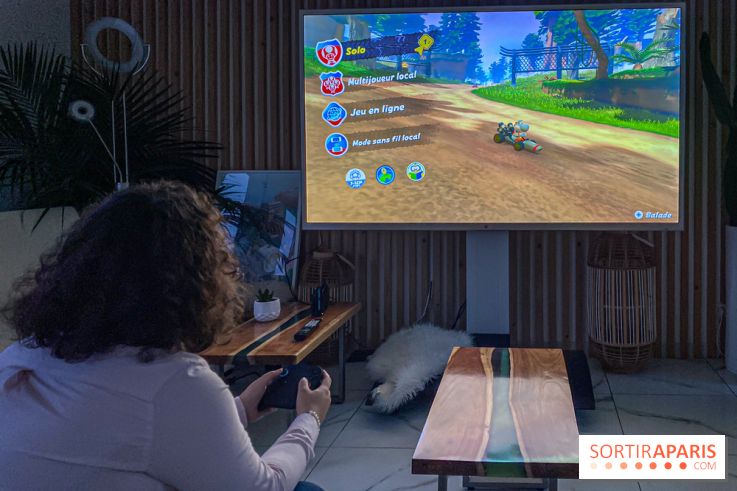 visuels Nintendo Switch 2