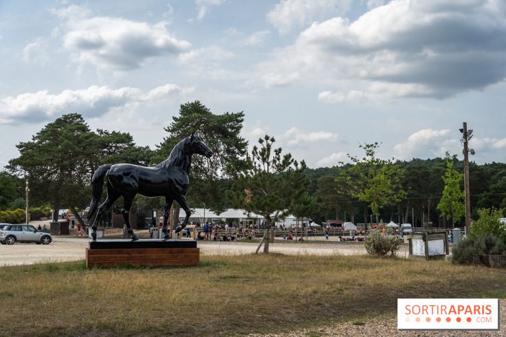 Le Grand Parquet Fontainebleau - photos  - A7C02547