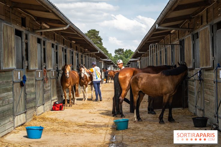 Le Grand Parquet Fontainebleau - photos  - A7C02567