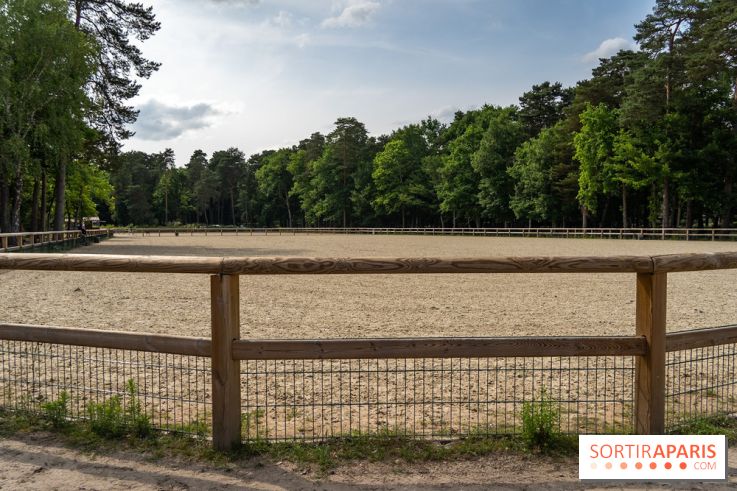 Le Grand Parquet Fontainebleau - photos  - A7C02569