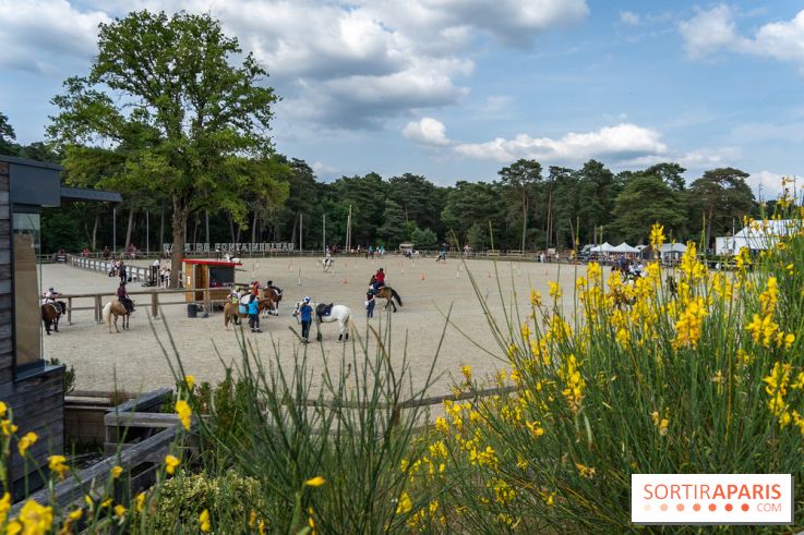 Le Grand Parquet Fontainebleau - photos  - A7C02572