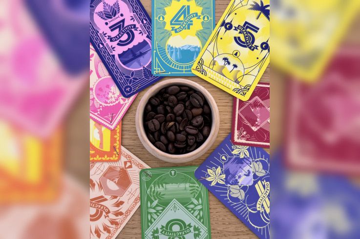 Campagne #34926 - Photo 4