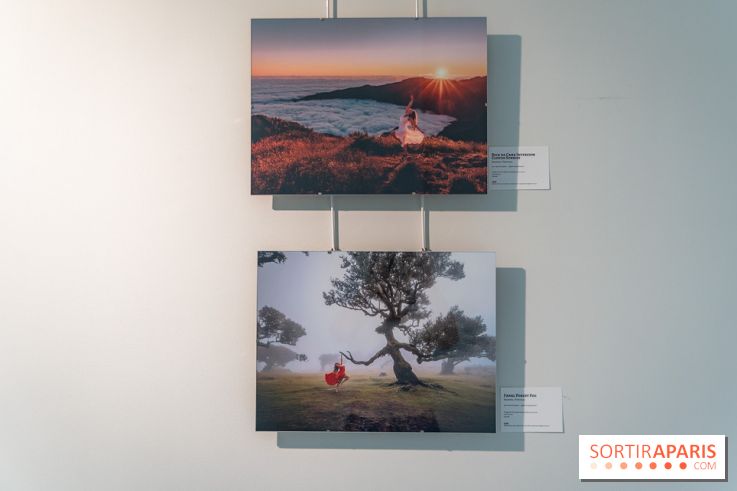 Exposition Dancing the Earth au Couvent de l'Annonciation Paris 8e