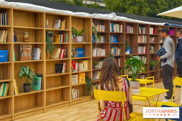 Bibliothèque et boite à livres géante à ciel ouvert