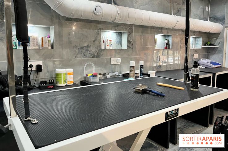 Patapwouf, le spot cani-friendly de Saint-Ouen - nos photos - 393556D9 EA36 4DFD 8540 3C17E3D5F509