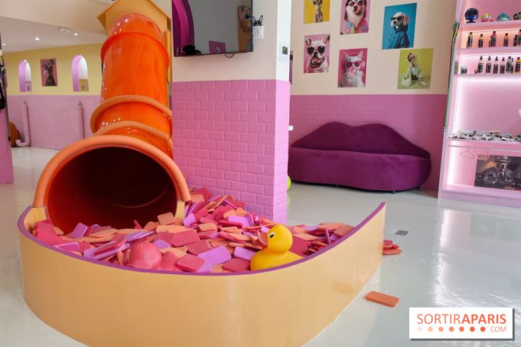 Patapwouf, le spot cani-friendly de Saint-Ouen - nos photos - B14E41A3 2095 4CF7 96DA 6013731033F2