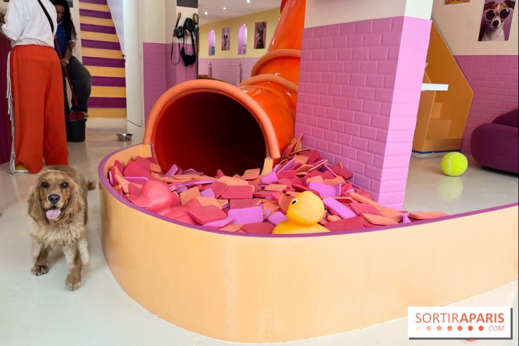 Patapwouf, le spot cani-friendly de Saint-Ouen - nos photos - B0605D0C 0E5A 47FE A9CE C6F0526C3A2F