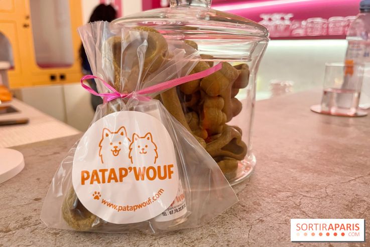 Patapwouf, le spot cani-friendly de Saint-Ouen - nos photos - CBA74623 0EBE 44FA 9FFF 1E1D19587CD5