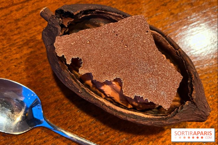 Machizo - Mousse chocolat, glace estragon