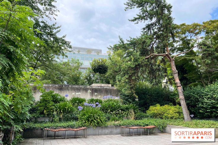 Square Eugénie Djendi - nos photos - EAA561DA 8305 4BA9 B12D 98BC68D5370B