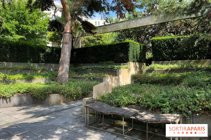 Square Eugénie Djendi - nos photos - C11014E2 DCBD 4A14 A7C7 37FBB8023C76