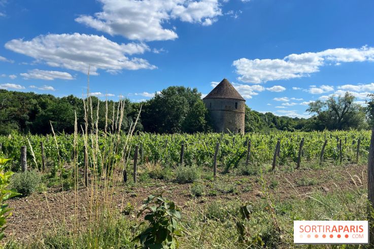 Paris-Rambouillet à pied - nos photos - 50F1D405 06A3 4B1F B8FC CD3BDB65BAC0