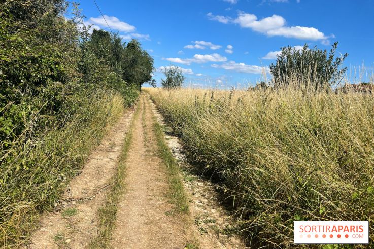 Paris-Rambouillet à pied - nos photos - DF4FD716 169E 424A 938E 9B3E81624D76