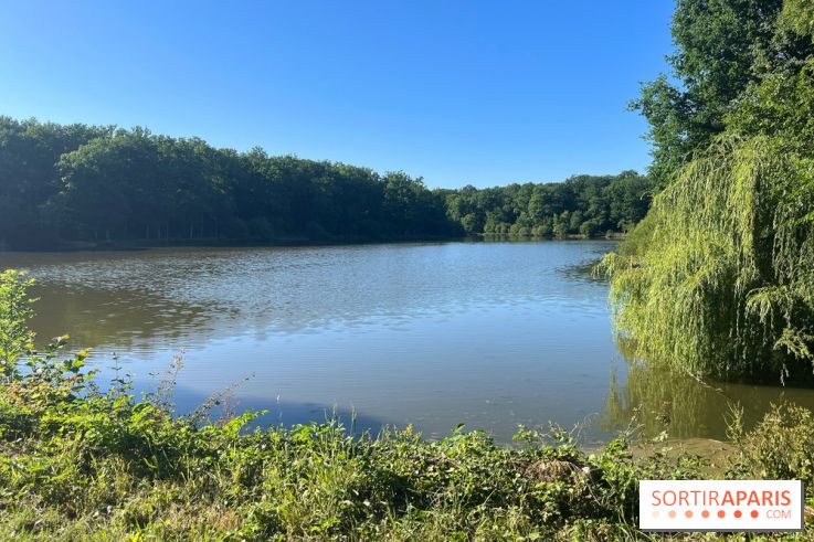 Paris-Rambouillet à pied - nos photos - 33648372 45C8 4692 8239 B090140DB6B9