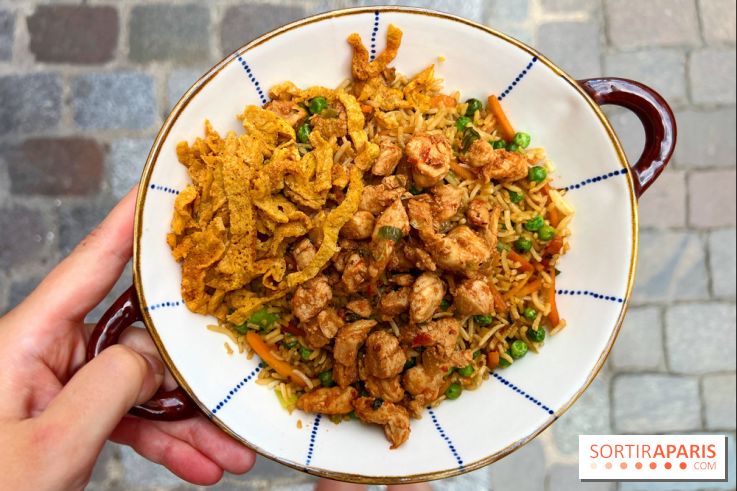 Ti Dodo Gourmand - Karay riz frit poulet