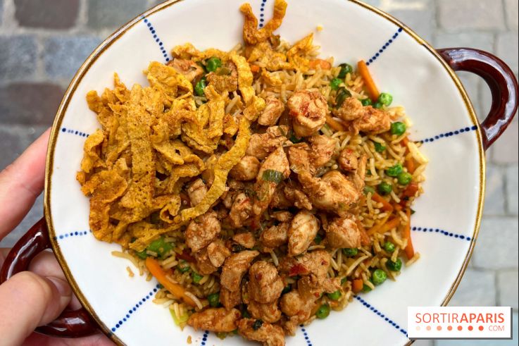 Ti Dodo Gourmand - Karay riz frit poulet