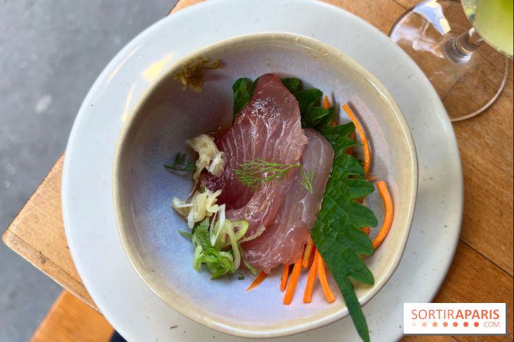 Shuzo - Sashimi thon blanc