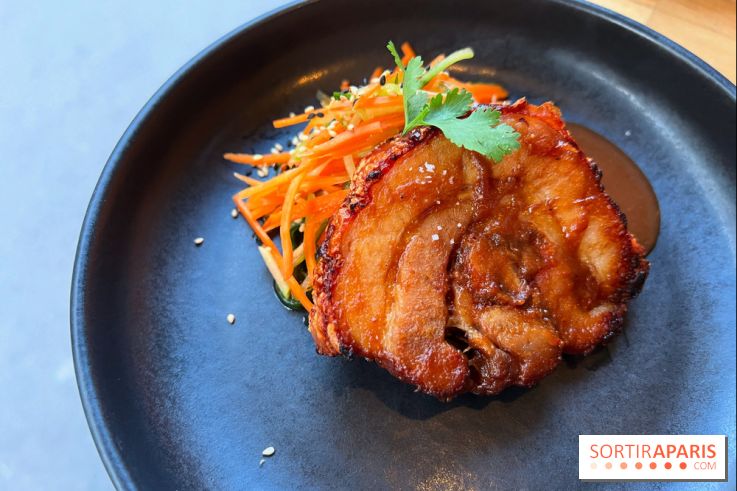 Shuzo - Chashu-Chicharron