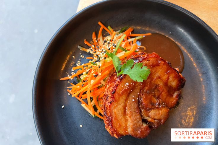 Shuzo - Chashu-Chicharron