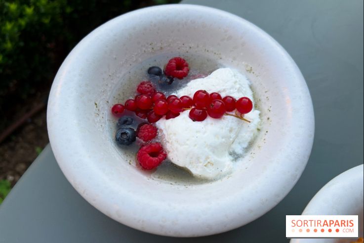 Joli, Musée Carnavalet - Nage fruits rouges