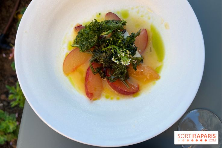 Joli, Musée Carnavalet - Salade pêches kale