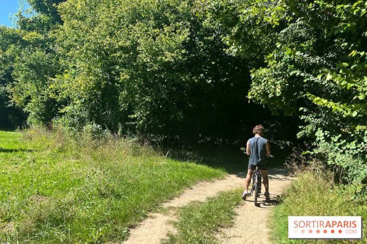 Vélo en bords de Marne - nos photos - 08AD9137 E902 47D9 921D 700C55B8FEB8