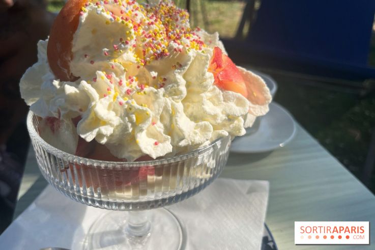 La guinguette des Bords de Marne - nos photos - 332B7959 DA91 4BF4 AF31 3234D94F8CBF