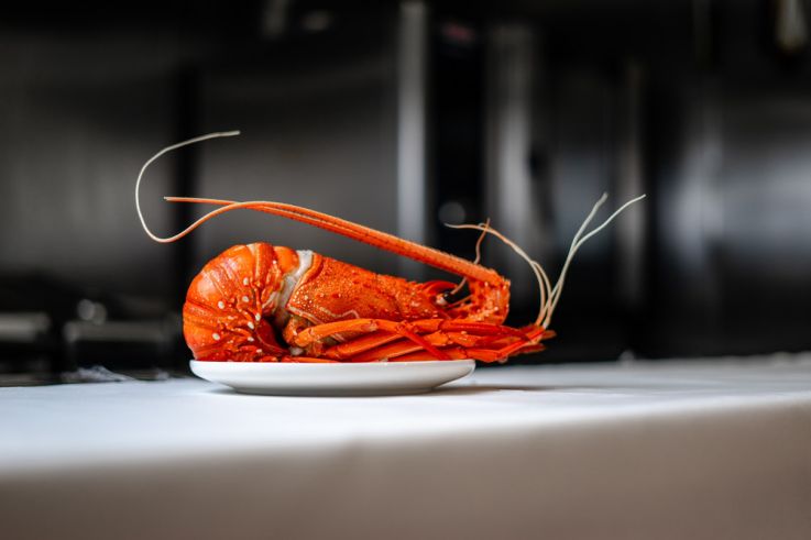 Nouveautés pour Paques chez Maison Morin à Barbizon 