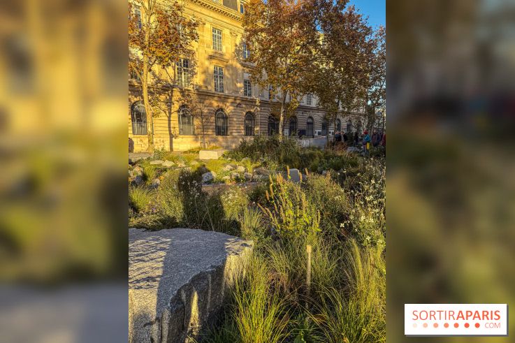 Jardin mémoriel du 13 novembre 2015 - Jardin du Souvenir - nos photos - IMG 1812