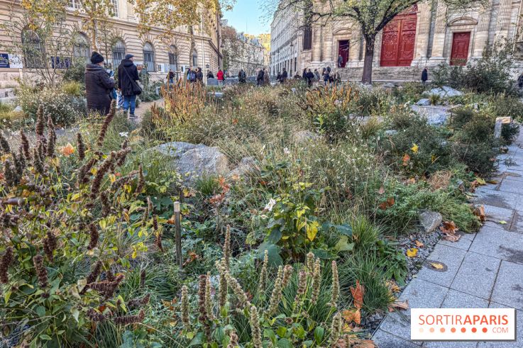 Jardin mémoriel du 13 novembre 2015 - Jardin du Souvenir - nos photos - IMG 1814