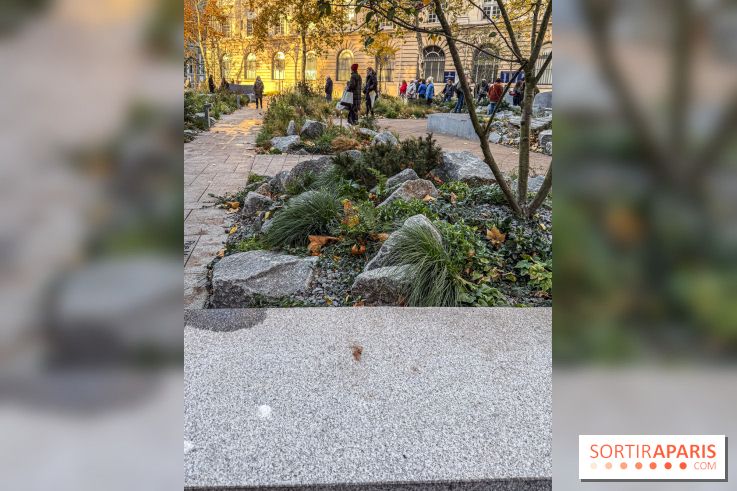 Jardin mémoriel du 13 novembre 2015 - Jardin du Souvenir - nos photos - IMG 1825