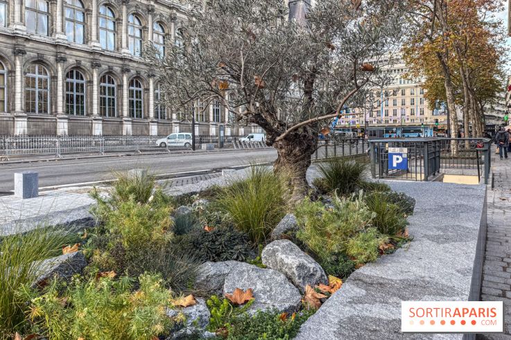 Jardin mémoriel du 13 novembre 2015 - Jardin du Souvenir - nos photos - IMG 1835