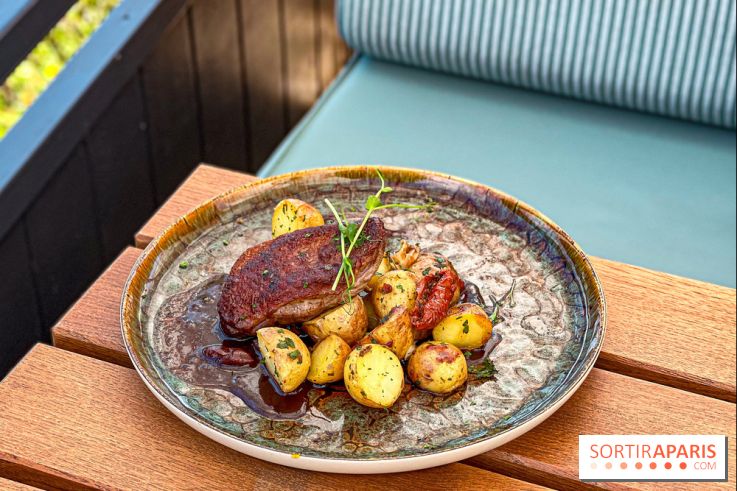 La Casa, Médan (78) - IMG 3163 jpg