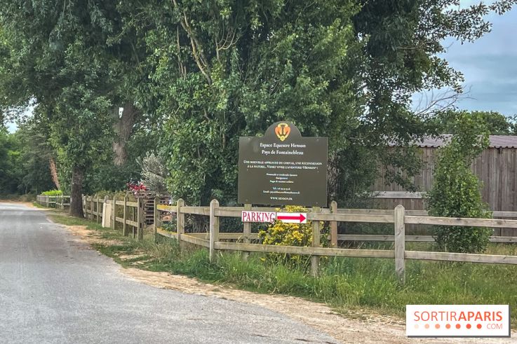 Balade en chevaux Henson en forêt de Fontainebleau