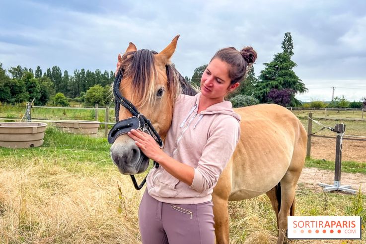 Balade en chevaux Henson en forêt de Fontainebleau