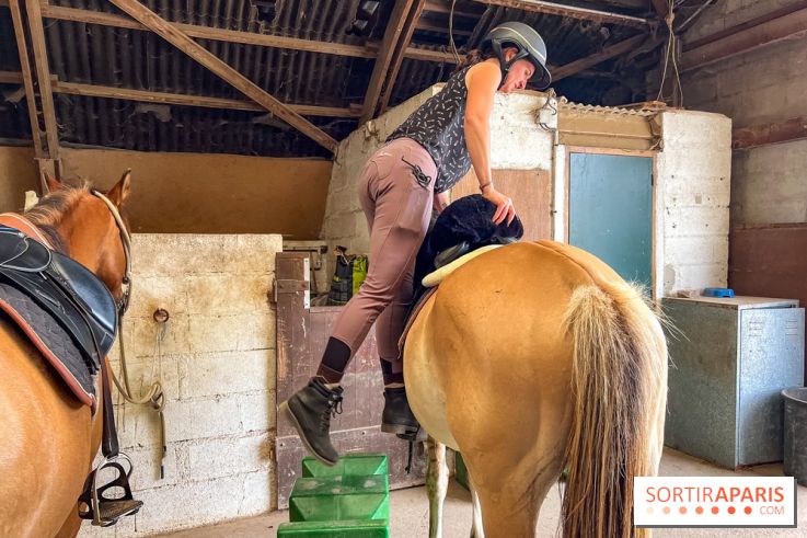 Balade en chevaux Henson en forêt de Fontainebleau