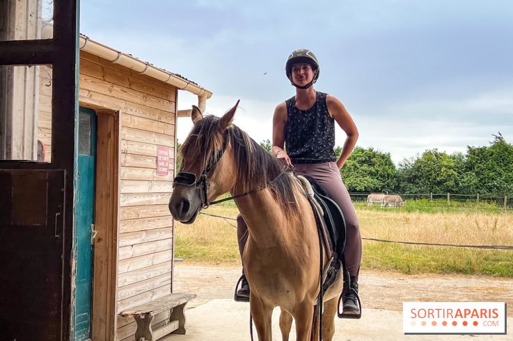 Balade en chevaux Henson en forêt de Fontainebleau  - IMG 2023