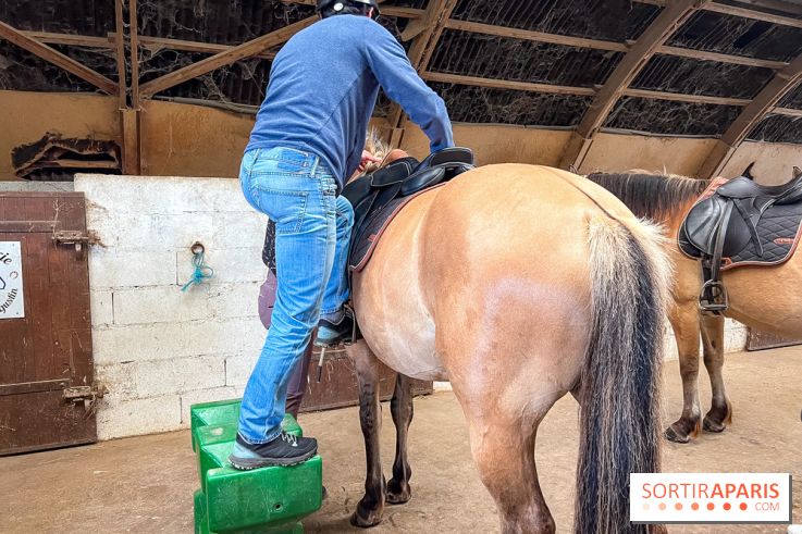 Balade en chevaux Henson en forêt de Fontainebleau  - IMG 2025